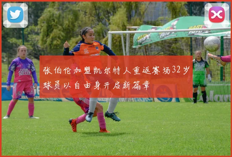 张伯伦加盟凯尔特人重返赛场32岁球员以自由身开启新篇章